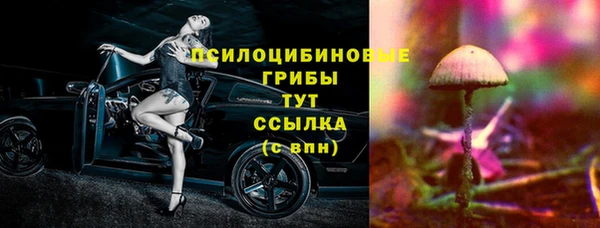 соль курить ск Кукмор
