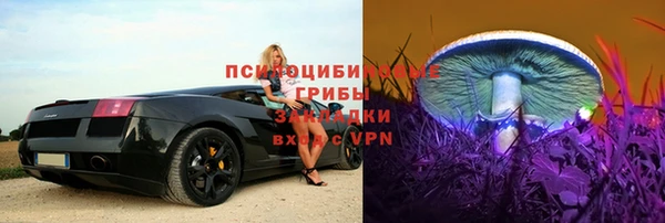 соль курить ск Кукмор